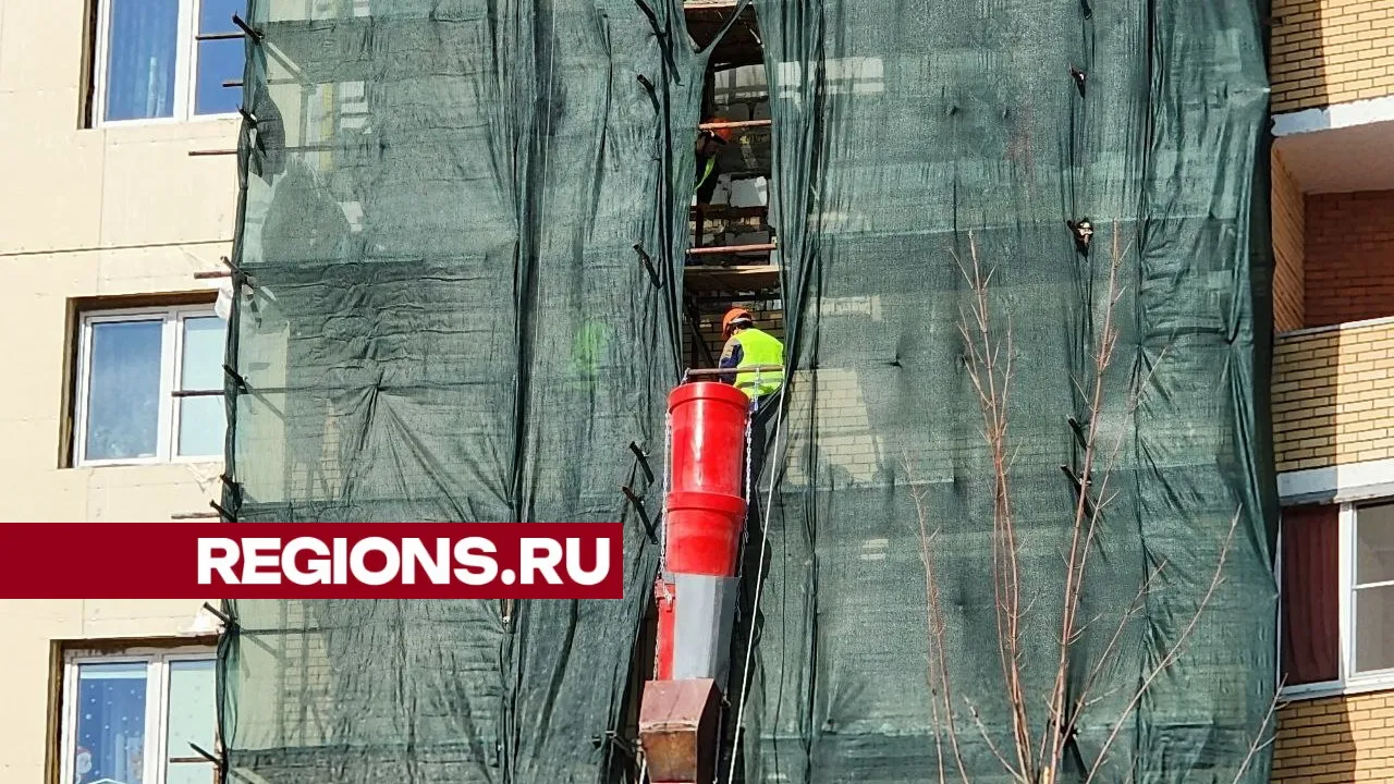 фото, видео: Елена Лабзина