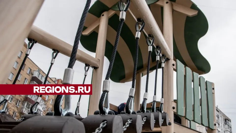 Фото пресс-службы администрации г.о. Балашиха