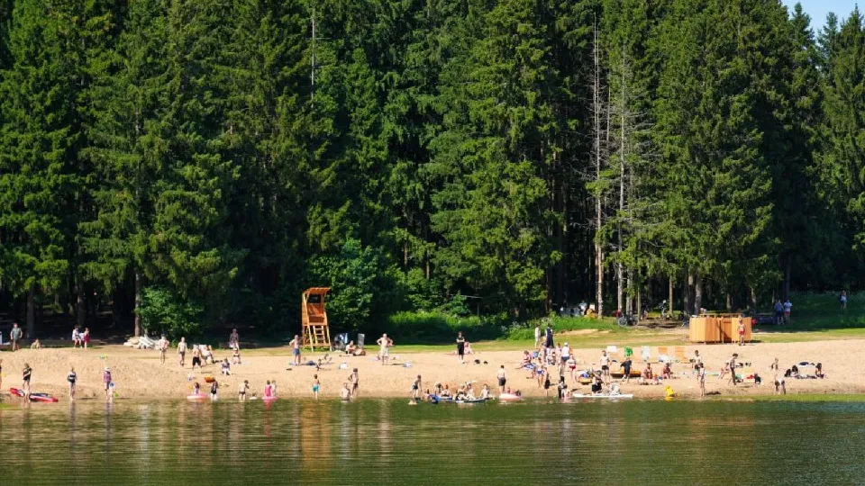 Фото: МедиаБанк Подмосковья/Дмитрий Зайчиков