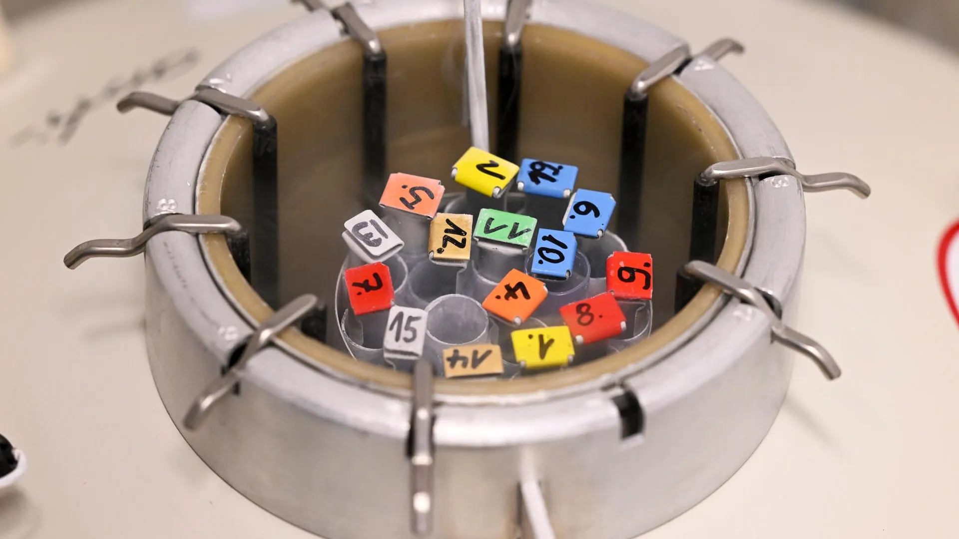 Jens Kalaene/dpa/Global Look Press