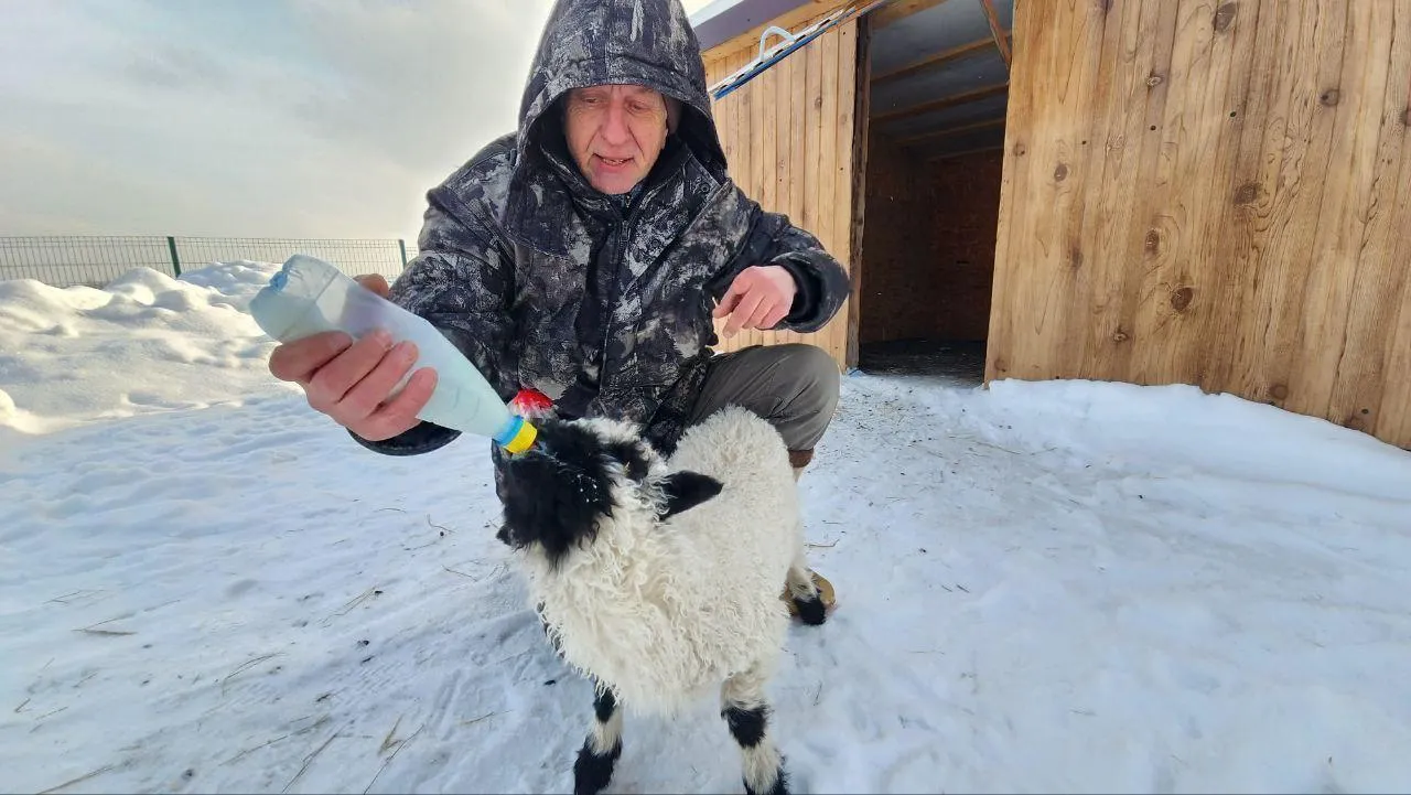 REGIONS/Евгений Рой