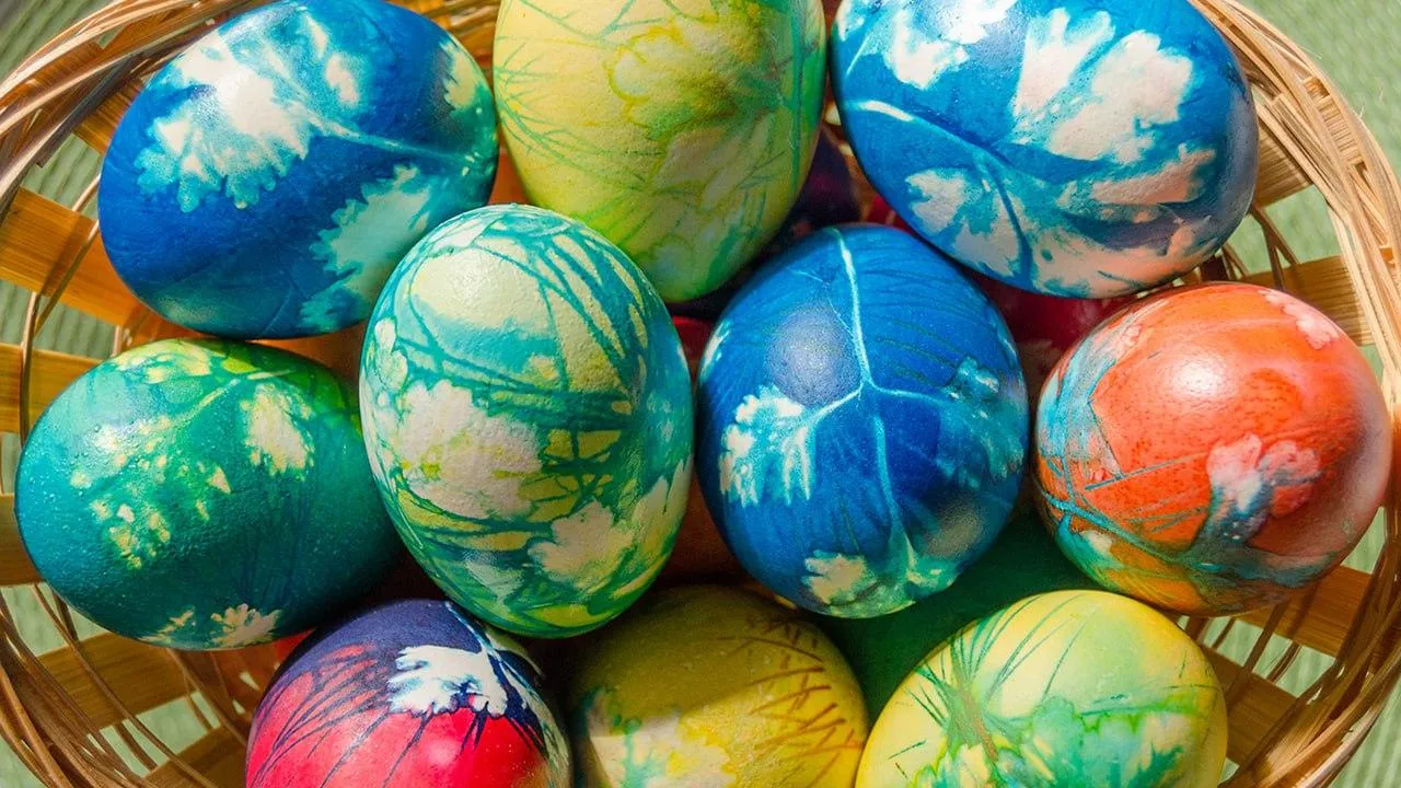 istockphoto.com/WebAkela