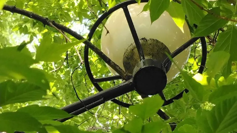 Фото: администрация Одинцовского городского округа