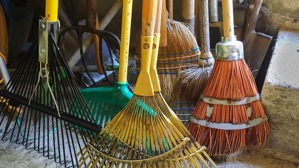 Фото: istockphoto.com/Claudine Silaho Weber-Hilty