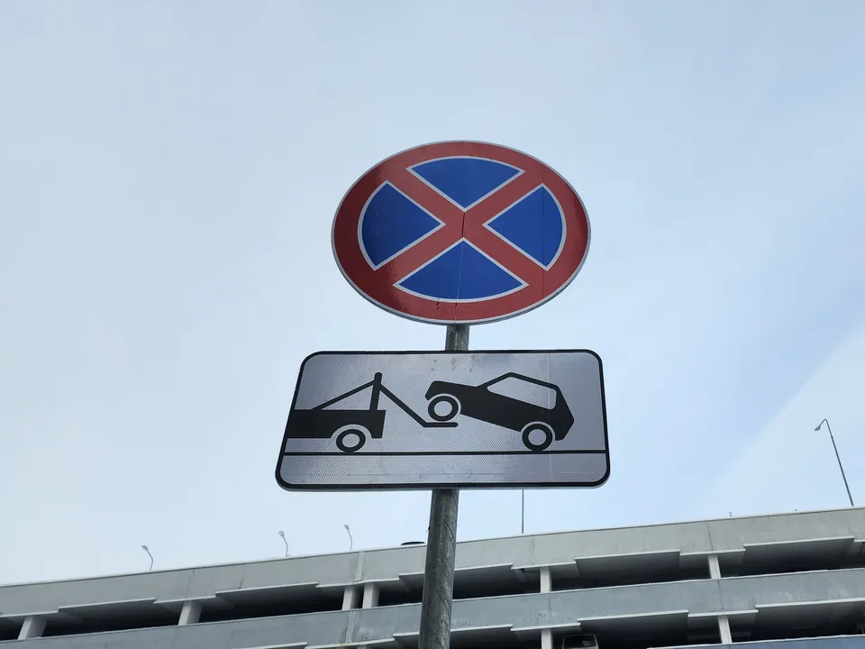 Фото: МедиаБанк Подмосковья/Анастасия Сараева&nbsp;