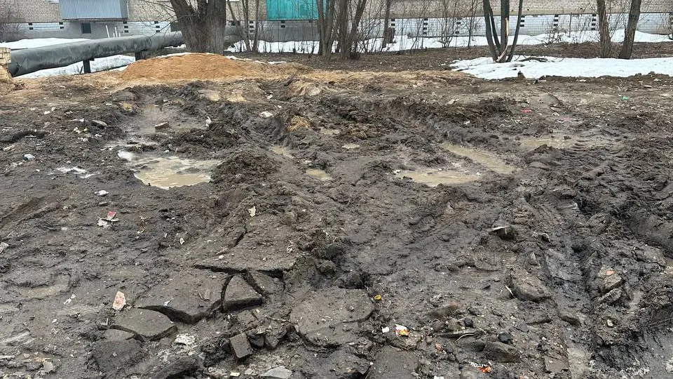 Соцсети Анны Кротовой