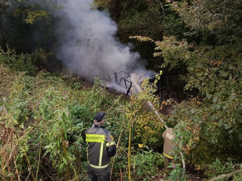 Фото: пресс-служба Администрации м.о. Луховицы