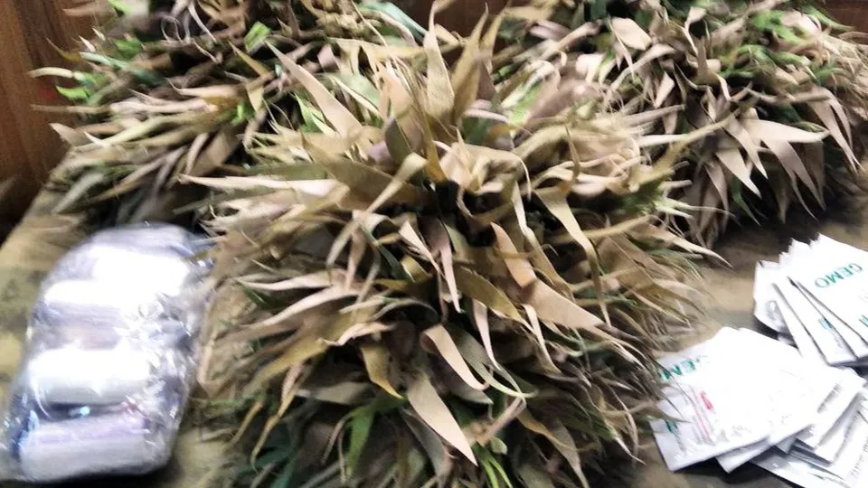 Фото: волонтерское объединение «Помощь военным ZV»