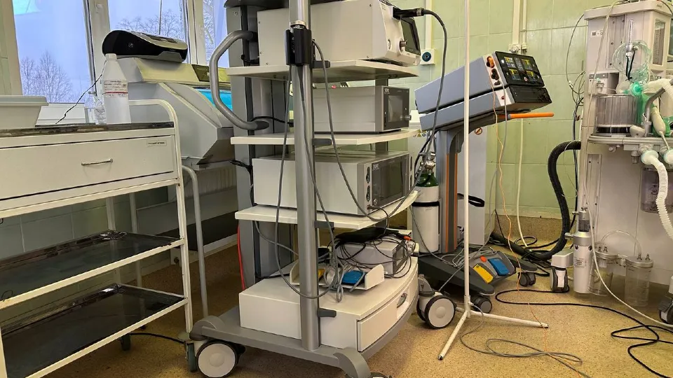 Фото: МедиаБанк Подмосковья/Эдуард Стратонов