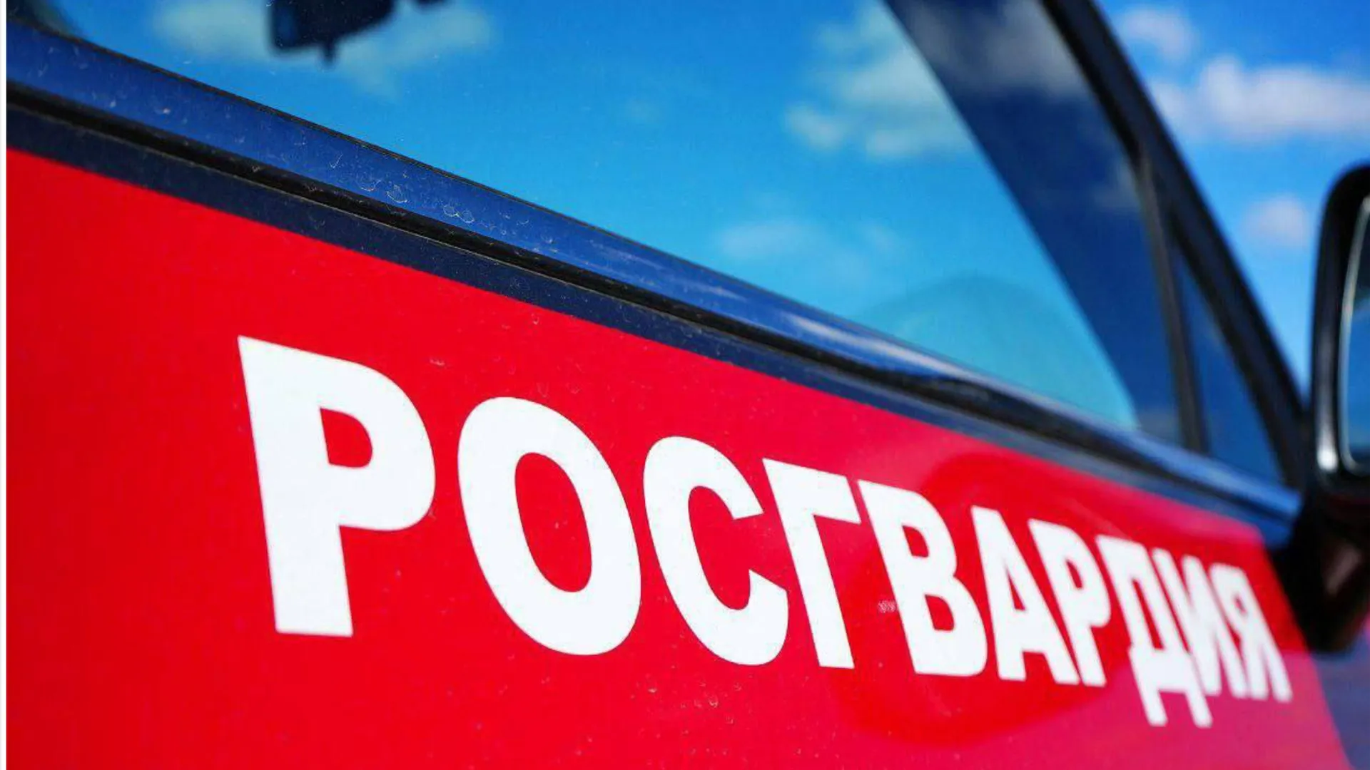 Фото: Росгвардия Московской области