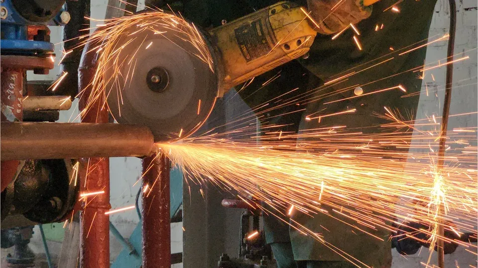 Фото: Медиабанк Подмосковья/Данилина Екатерина