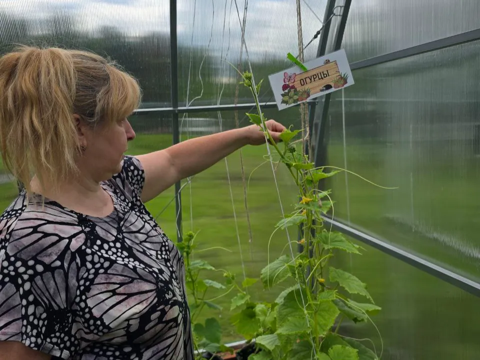 Фото: школа "КвантУм"