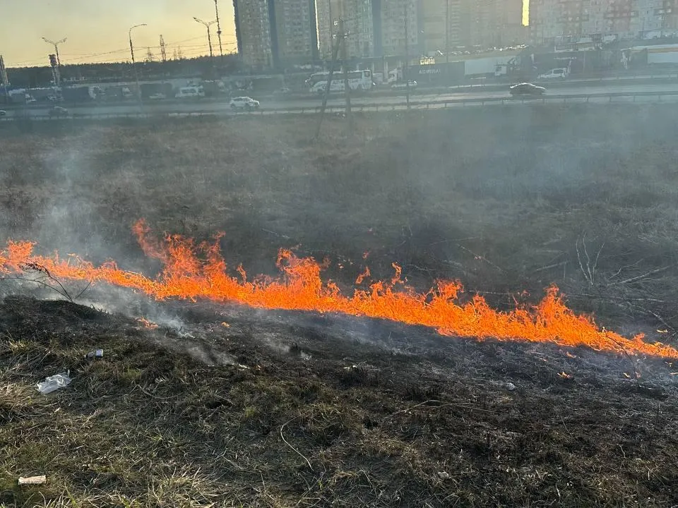 Фото: Эдуард Стратонов