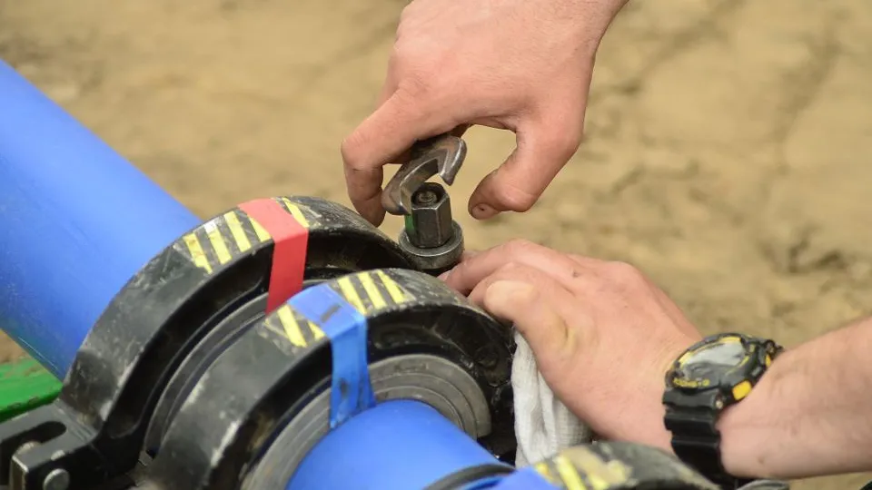 Фото: МедиаБанк Подмосковья/Анастасия Хренкова