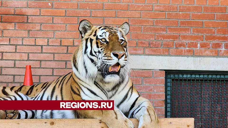 Фото: Дмитрий Беденко