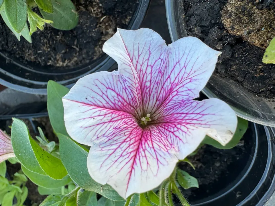 Фото: REGIONS/Евгения Макаренко