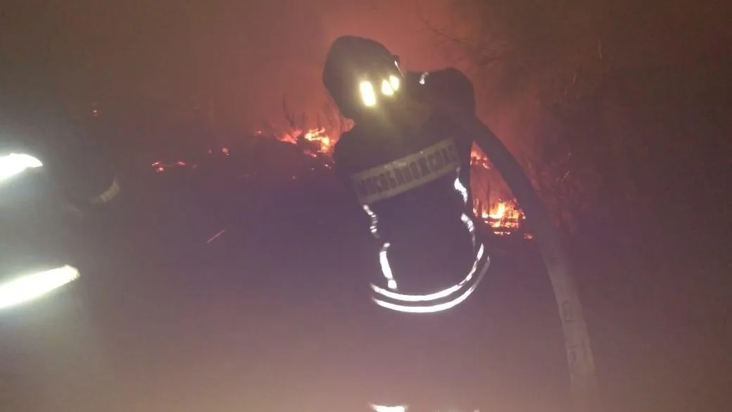 Фото из архива ГУ МЧС России по МО