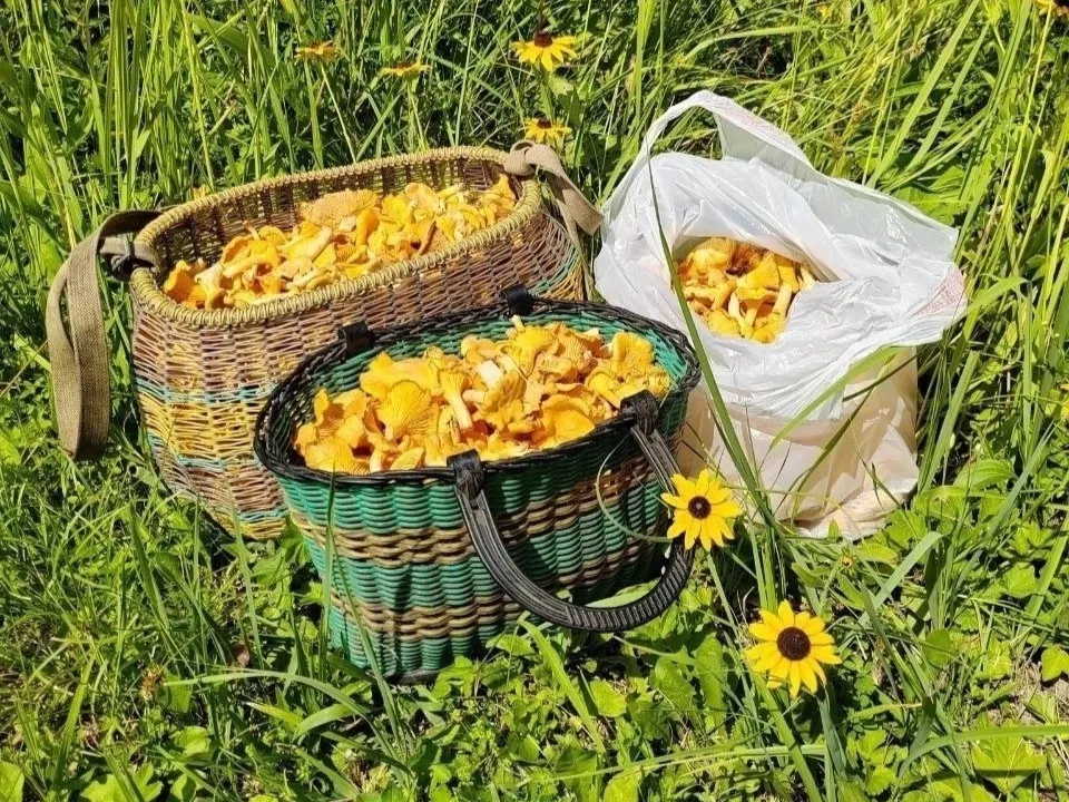 Фото: vk/com. Подслушано Павловский Посад