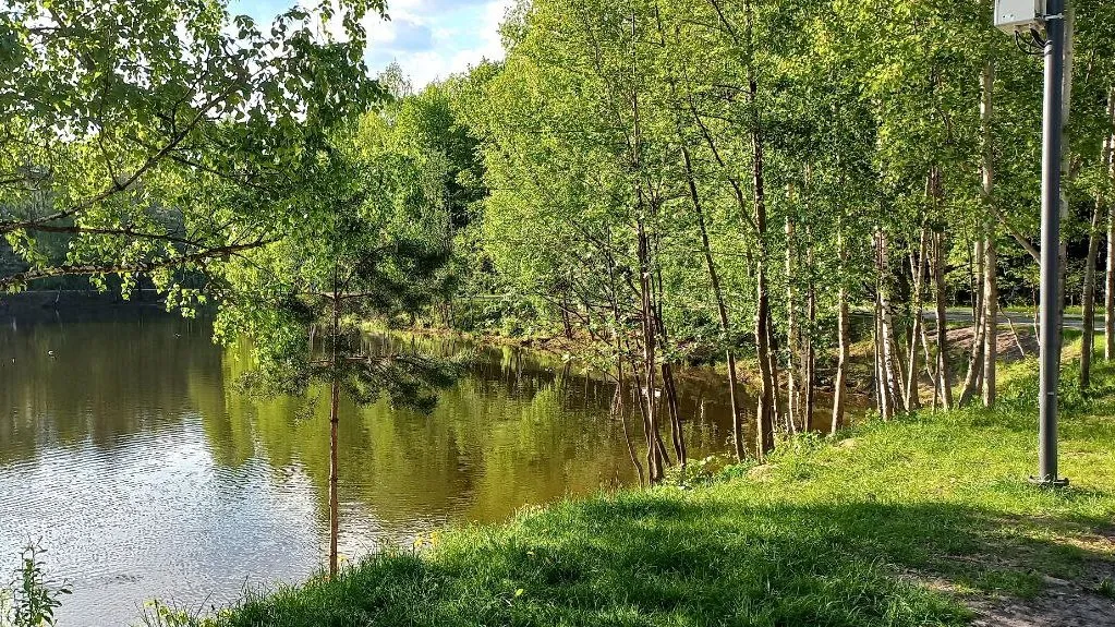 Фото: Олег Книжник