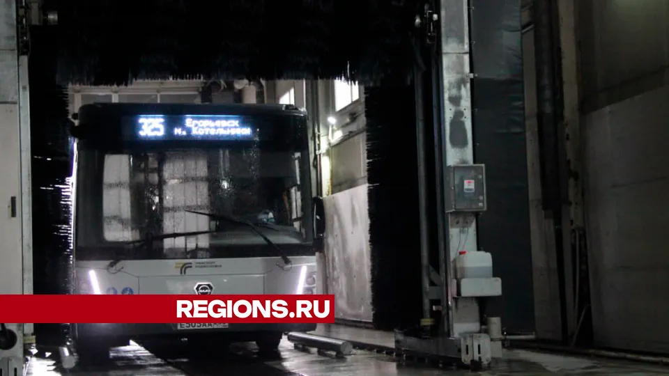 Фото: REGIONS/Василий Тремасов