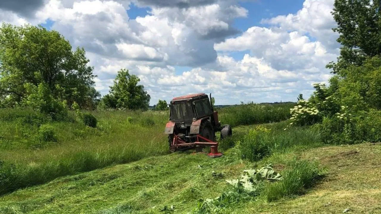 Новый сезон борьбы с борщевиком Сосновского стартовал в Подмосковье