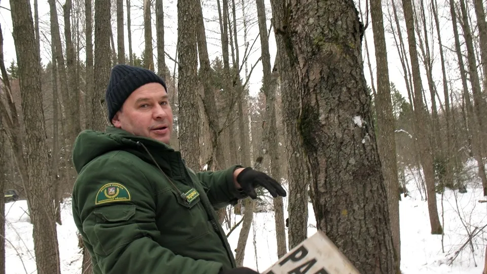 Фото пресс-служба филиала «Русский лес» ГАУ МО «Мособллес»