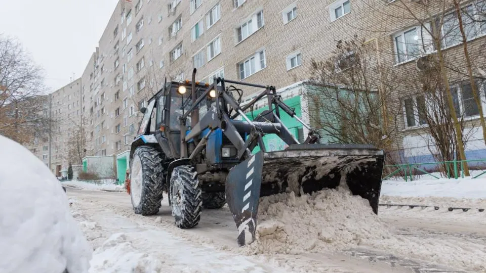 Фото: пресс-служба администрации городского округа Лыткарино