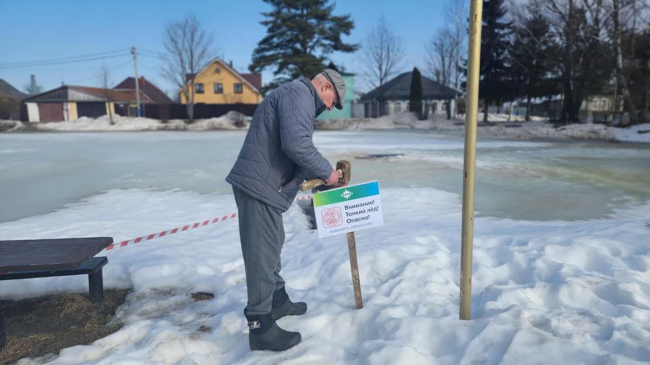 МедиаБанк Подмосковья/Валентина Максимова