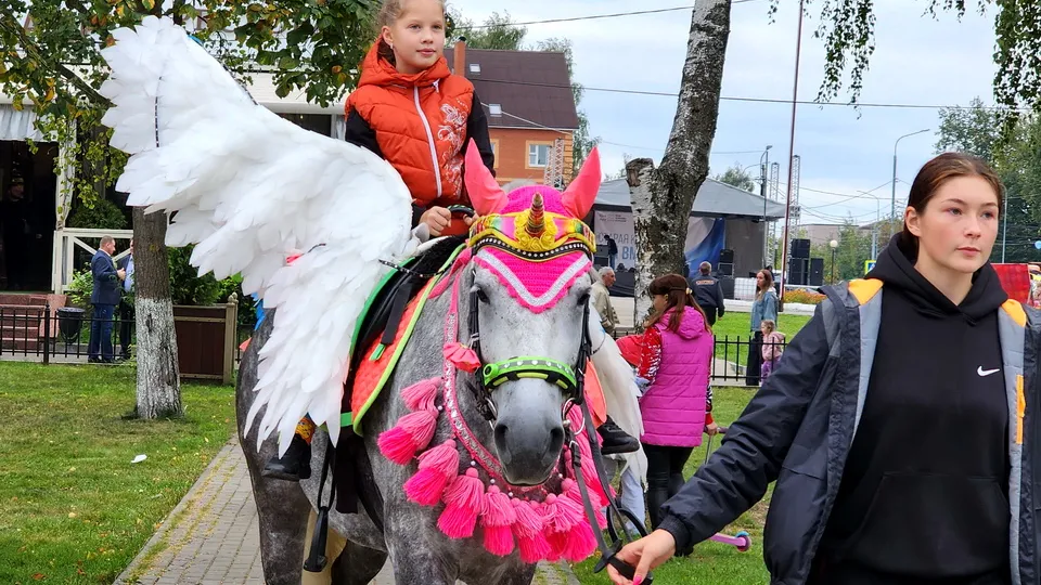 Фото: МедиаБанк Подмосковья/Ксения Пашуто