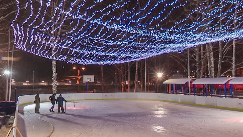 Фото: МедиаБанк Подмосковья/Данила Кирьянов