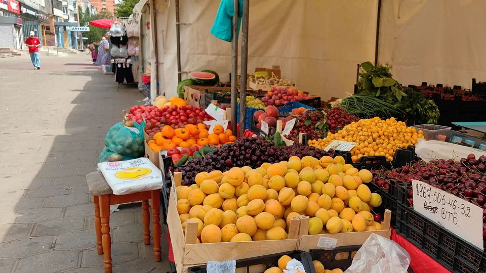 Фото: Елена Катасонова