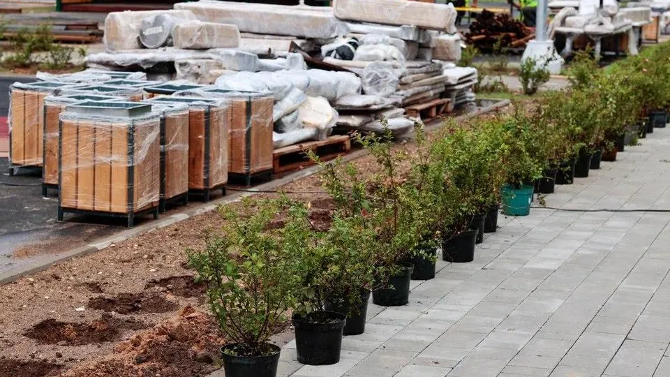 Фото: пресс-служба администрации городского округа Мытищи