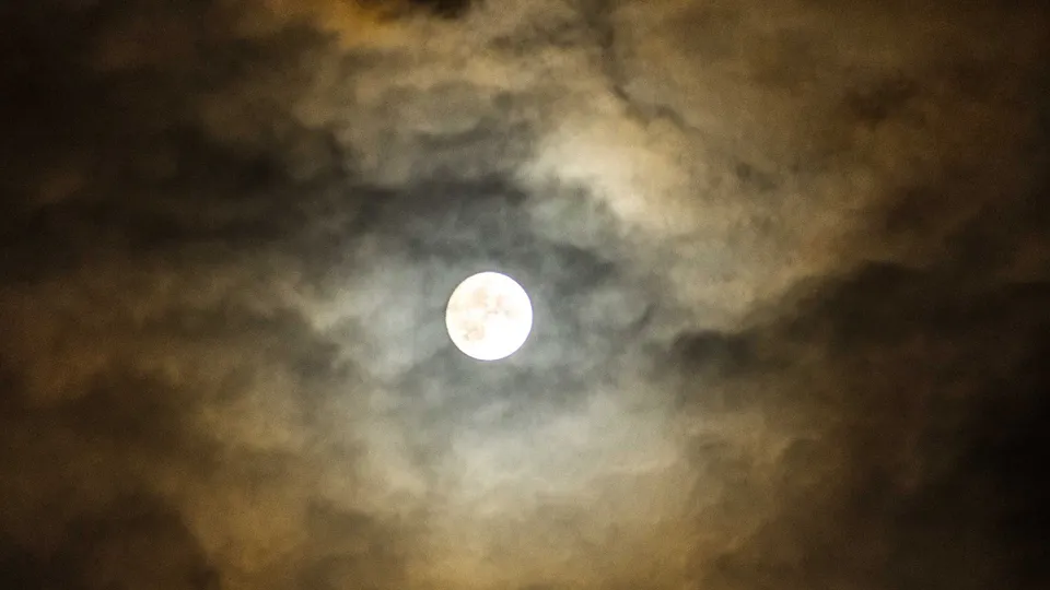 Фото: Антон Кондратюк