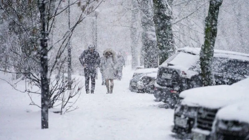 Михаил Голенков / РИА Новости