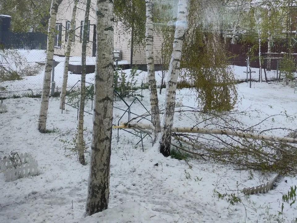 Фото: личный архив Оксаны Сташенко