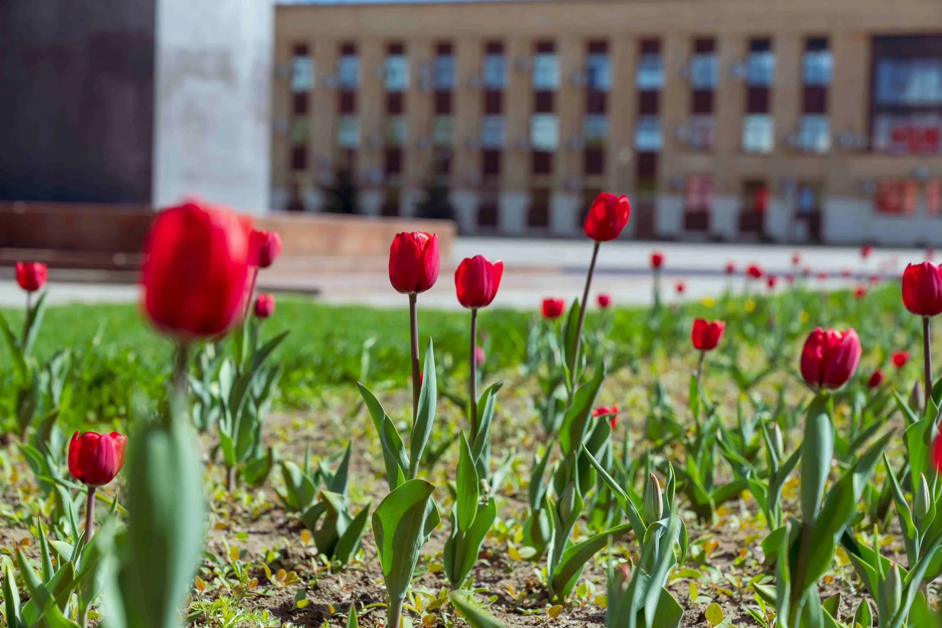 фото - Н. Надточая&nbsp;