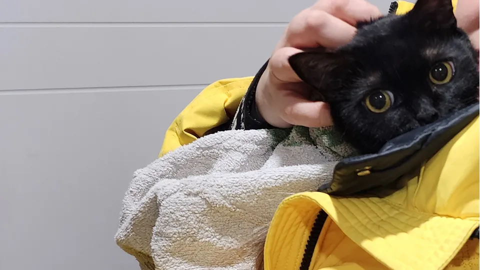 Фото: МедиаБанк Подмосковья/Ольга Антонова