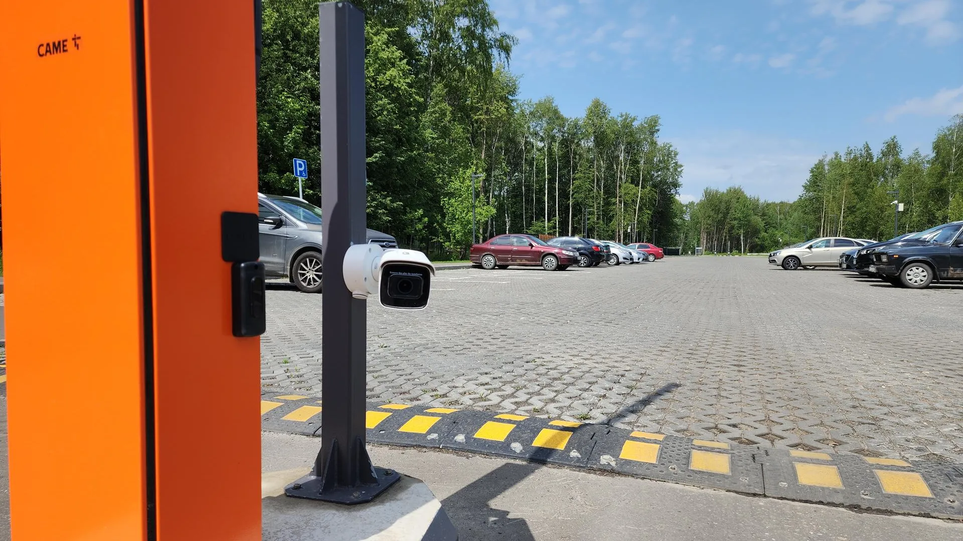 Фото: Нина Басистая