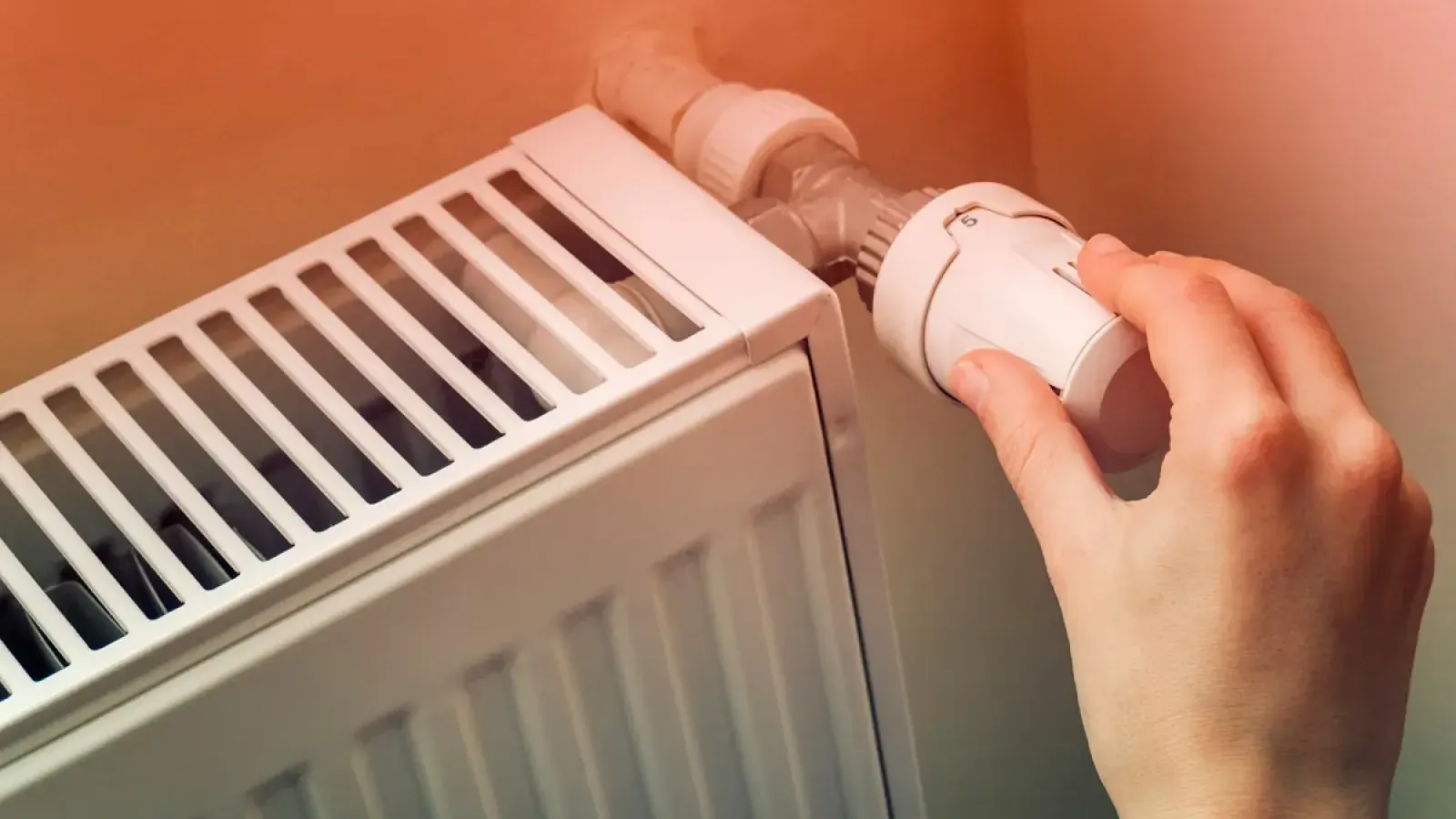 Фото: Pixabay.com