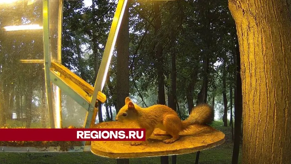 Видео: Виктор Бокренев