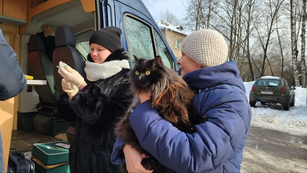 МедиаБанк Подмосковья/Наталья Лымарь