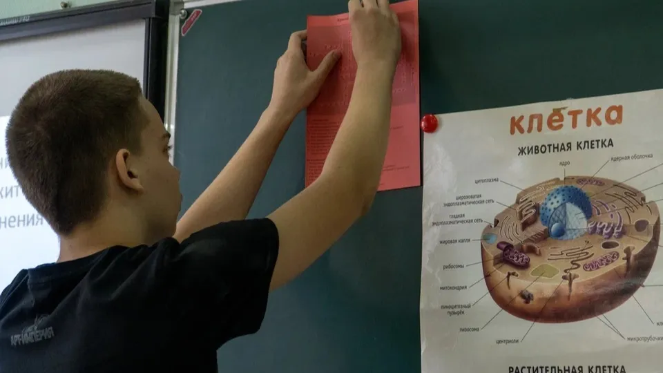 Фото: REGIONS/Наталия Надточая