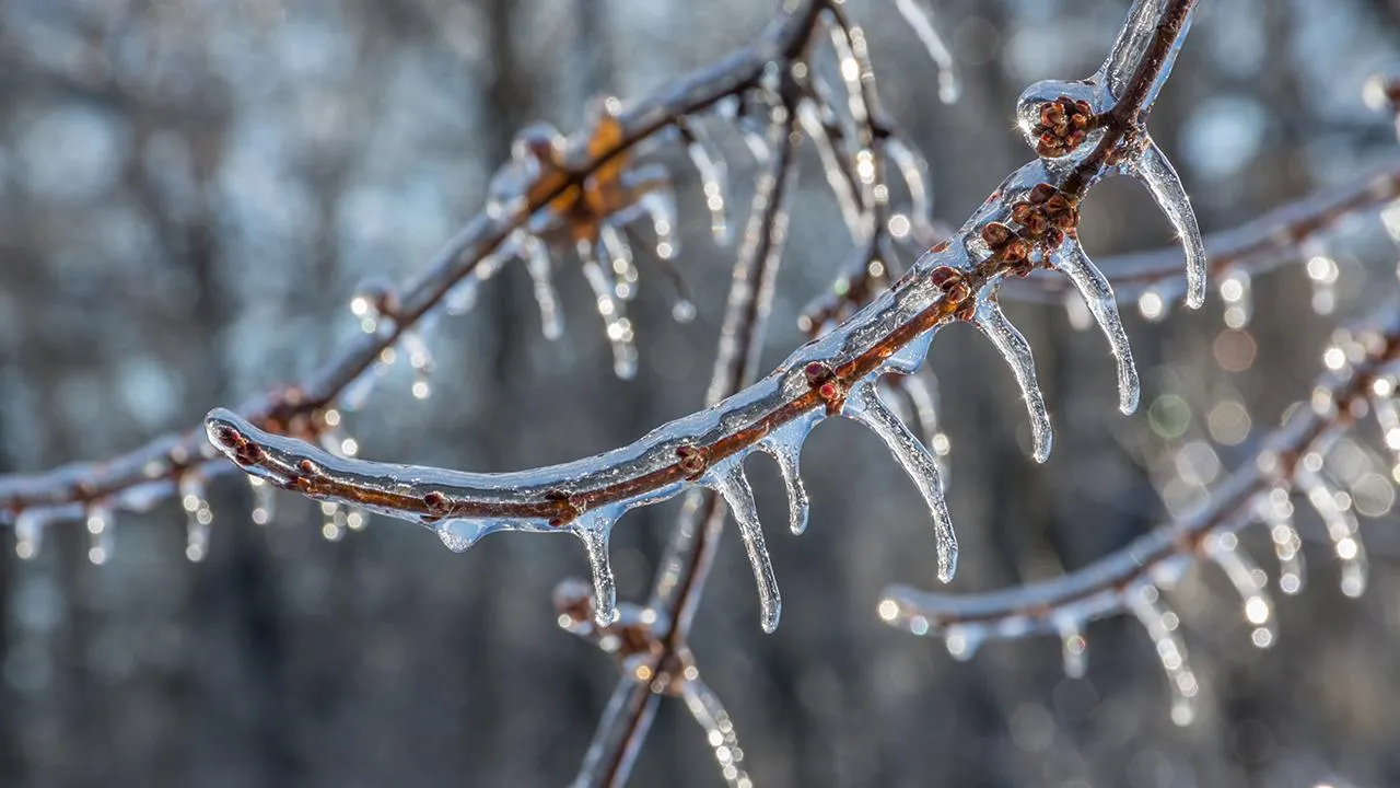 istockphoto.com/ByMPhotos