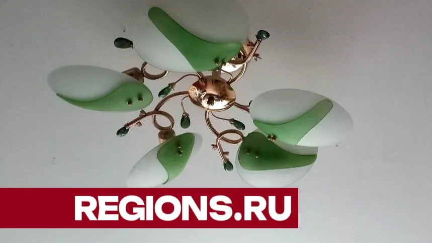 Фото: Олег Книжник