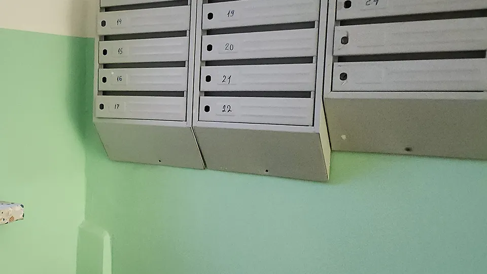 Фото: МедиаБанк Подмосковья/Ирина Моисеева