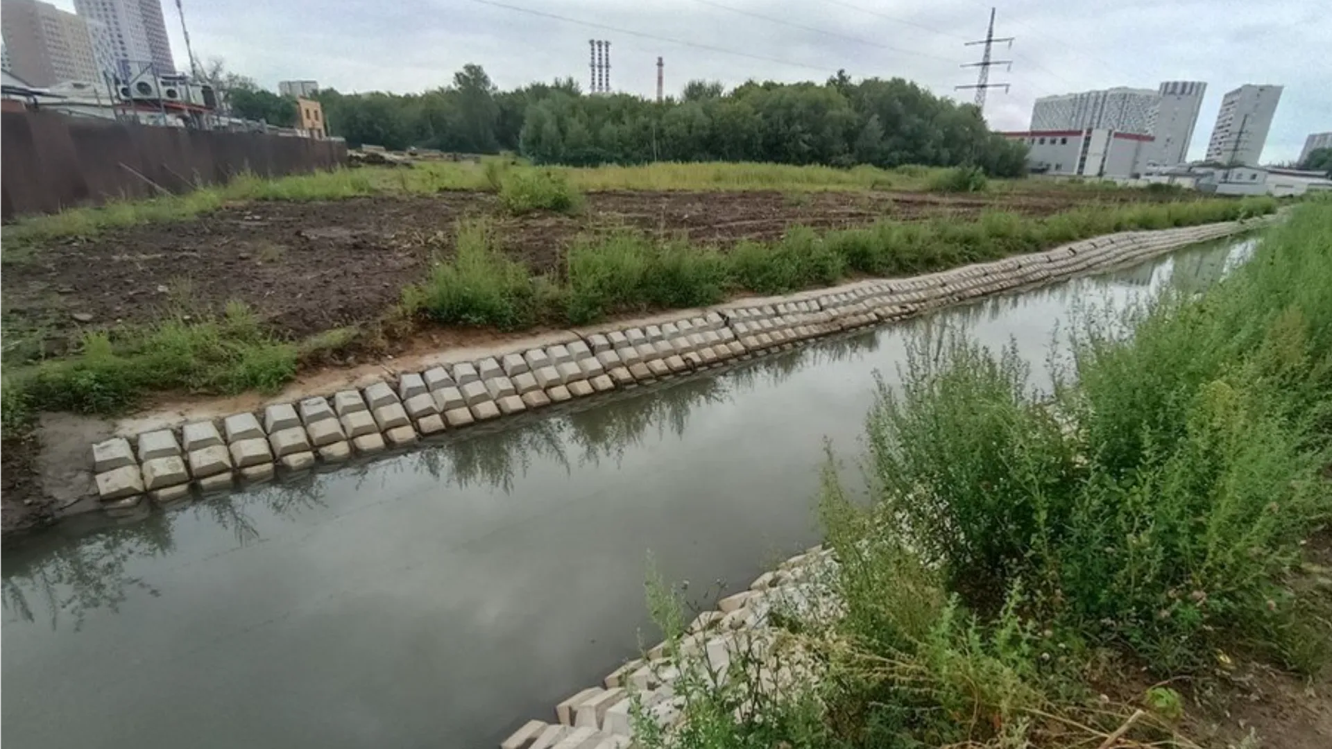 Фото: управление экологии г.о. Мытищи