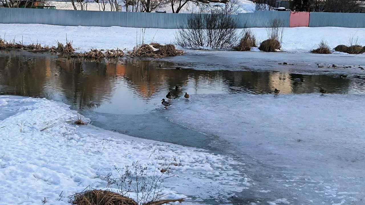 REGIONS/Роман Малышенко