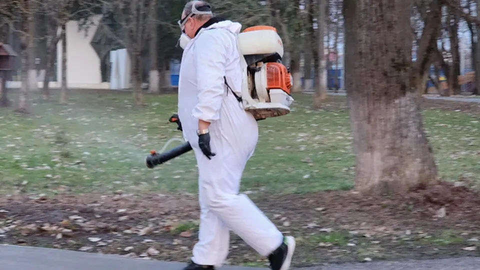 Фото: Анастасия Сараева