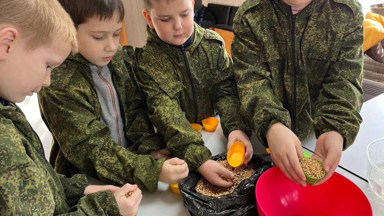 Фото: Комитет лесного хозяйства Московской области