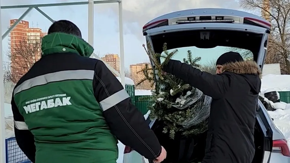 Фото: МедиаБанк Подмосковья/Валерия Ерофеева